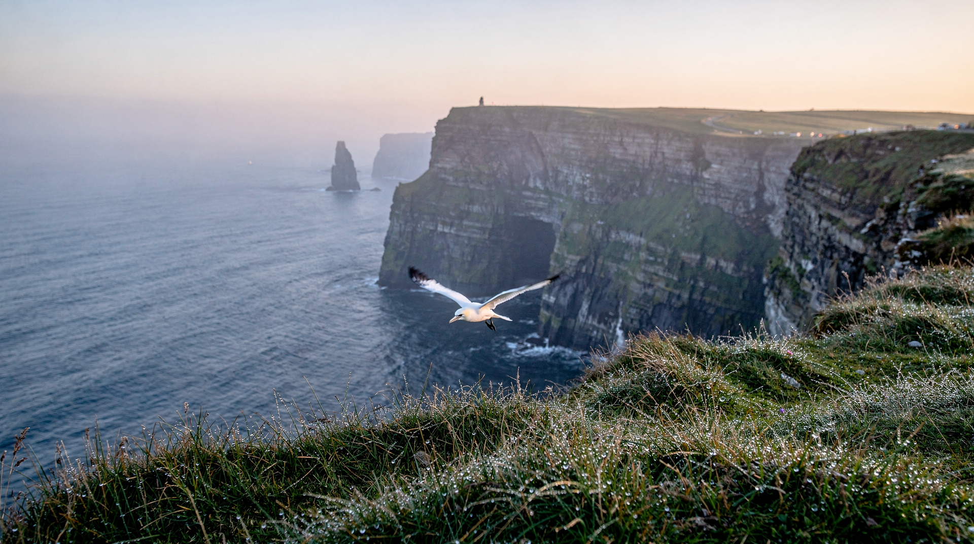 Cliffs of Moher without the crowds: what I learned going wrong — How to actually enjoy the Cliffs of Moher rather than shuffle through a crowd. T