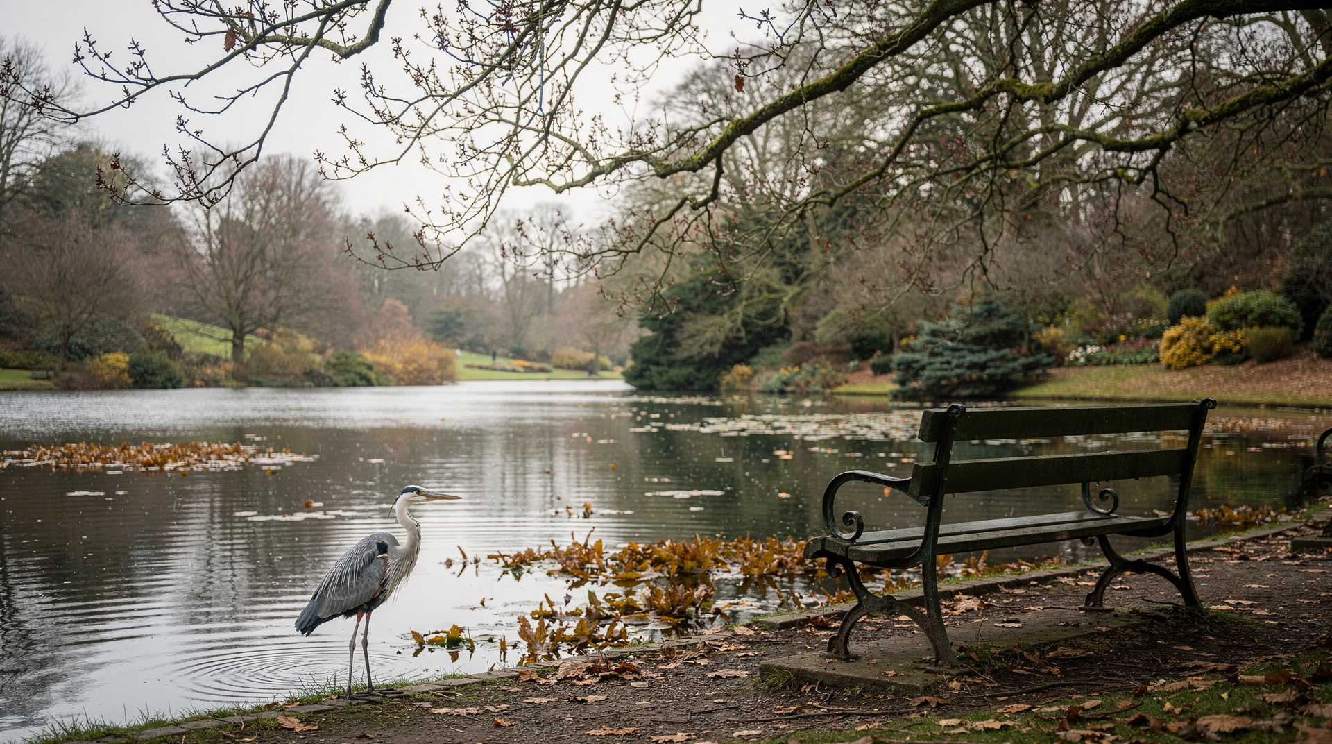 Dublin in the quiet season — February in Dublin is cold, often wet, and almost completely free of tourist cro