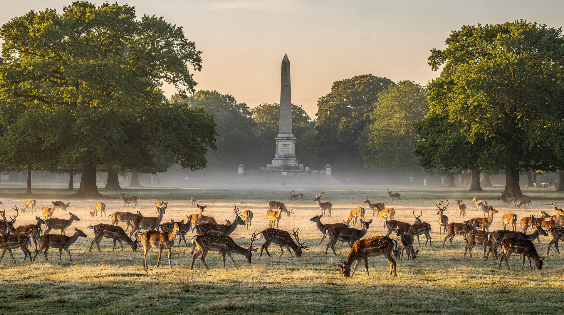 Phoenix Park, Ireland