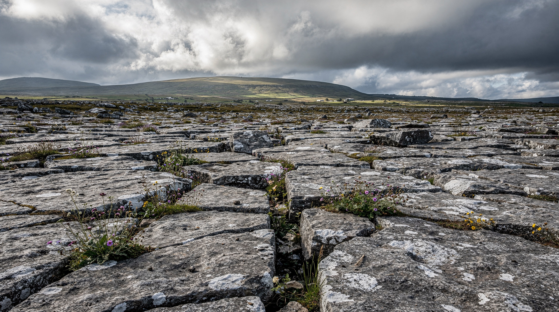 The Burren
