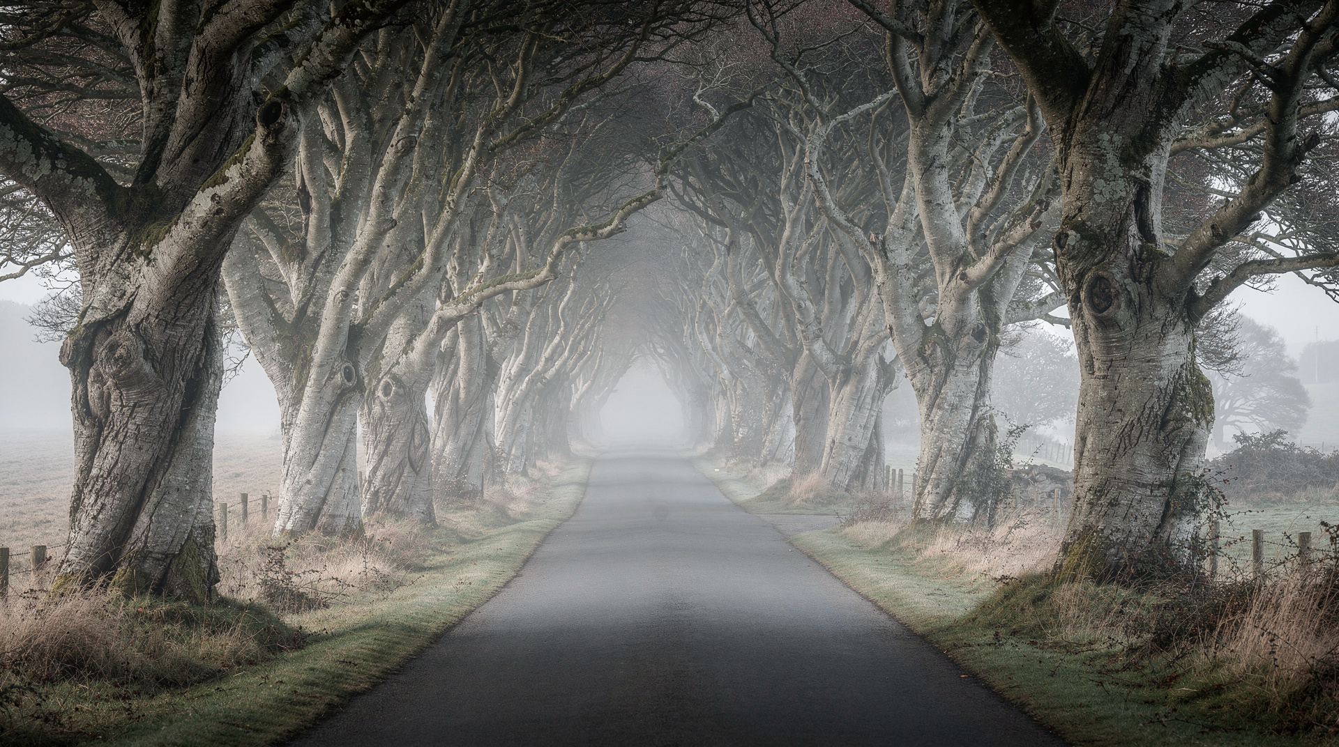Game of Thrones tours guide — Game of Thrones tours from Dublin: filming locations, Winterfell, Dark Hedges, t