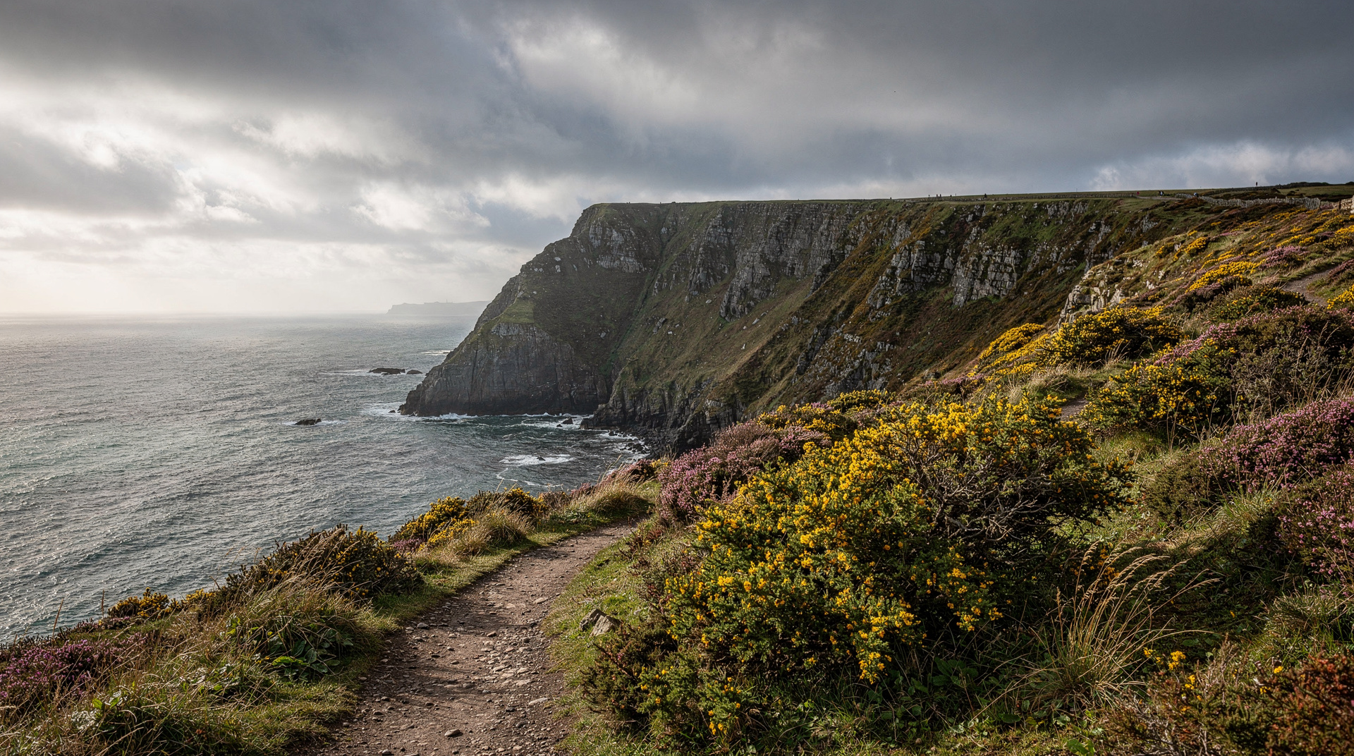 Dublin: Howth cliffs and Ireland's Eye boat cruise