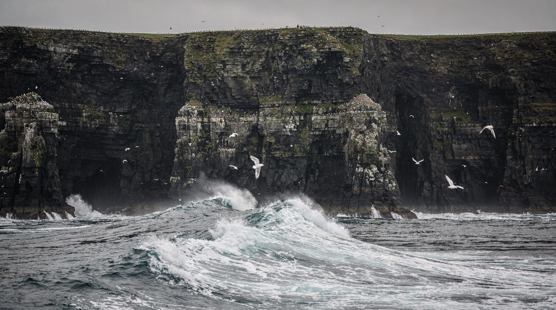 Cliffs of Moher day tour from Dublin: which one to book — Compare the four main Cliffs of Moher day tours from Dublin: full-day, Burren & 